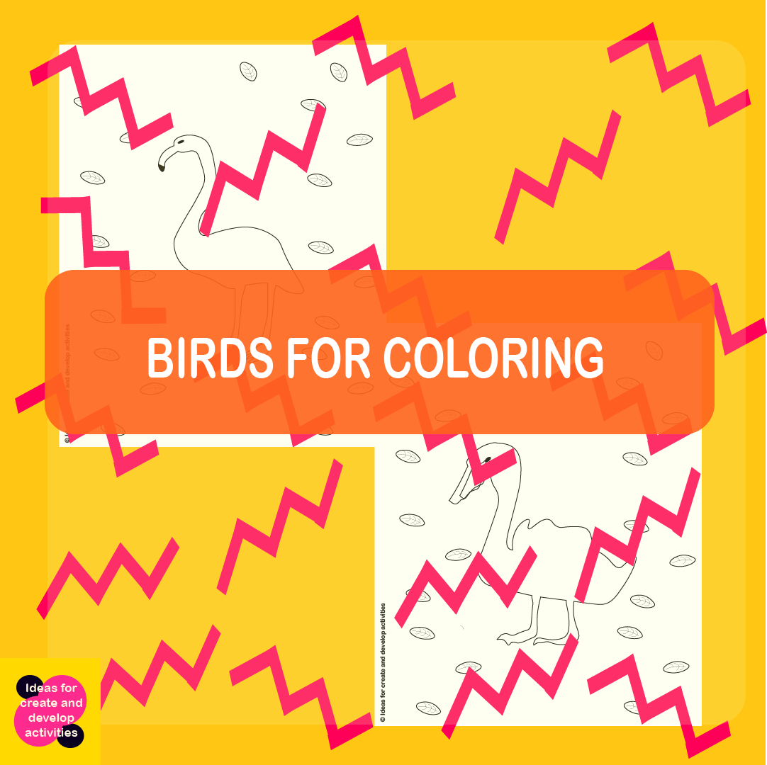 Birds for Coloring